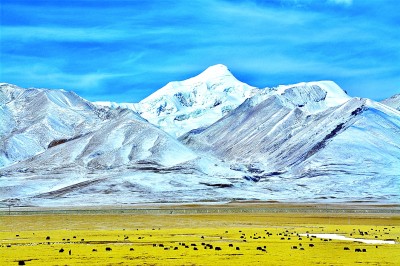 西藏：雪域高原绘出发展新画卷