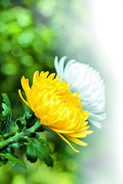 慎终追远 勇毅前行