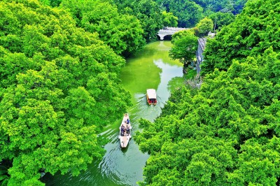 【大美中国】水清岸绿风景如画