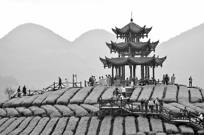 陆羽《茶经》与唐代茶文化