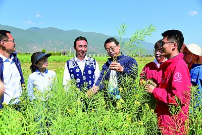 在乡村振兴的大舞台上建功立业