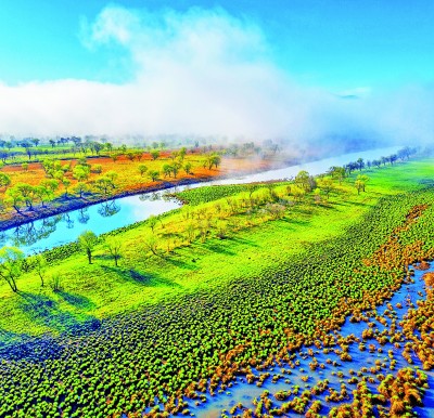 湿地良田 一碧相连——黑龙江三江平原湿地保护的探索与实践