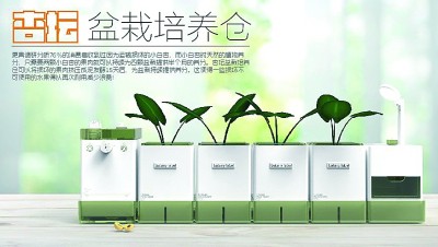 “文化润疆”中的艺术力量
