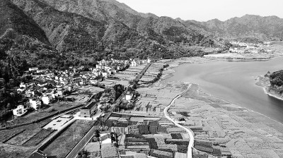 浙江省淳安县梓桐镇湖羊生态绿色饲料基地 浙江省淳安县梓桐镇湖羊生态绿色饲料基地