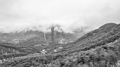 林业碳汇体系建设与碳中和