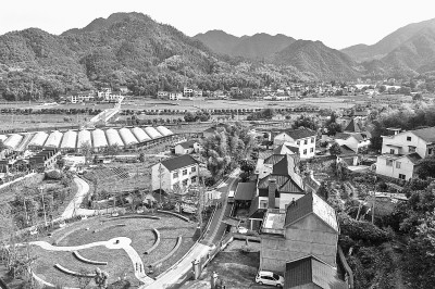 民宿集群助乡村振兴
