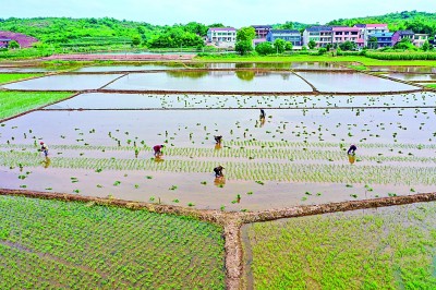 守田水