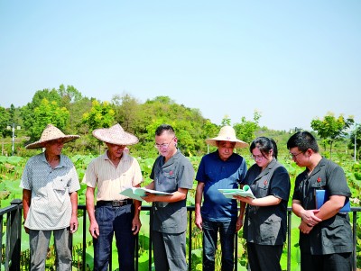 高高飘扬的旗帜 浸润人心的暖流——新时代“枫桥经验”在司法一线扎根生长的故事