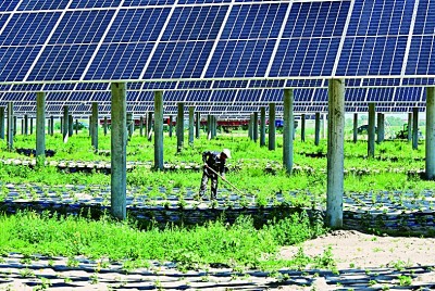 图片报道 图片报道