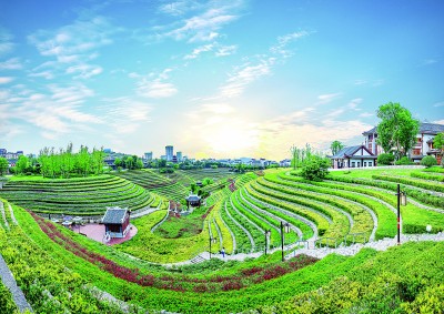 感恩奋进的蝶变之路——贵州省毕节市建设贯彻新发展理念示范区的实践及启示