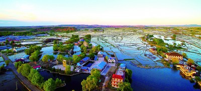 “小”土地种出大收益——黑龙江省牡丹江市以特色农业助力乡村振兴
