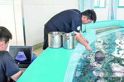 守护长江的“微笑”