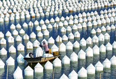 生态养殖增收致富