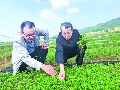 向着人民大地，一次次满载而归