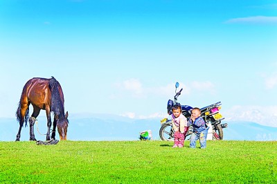 新疆昭苏 “中国天马之乡”的新跨越