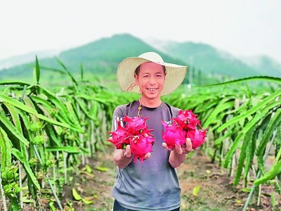 盘活存量资源 激发致富潜力——贵州遵义探索农民增收新途径