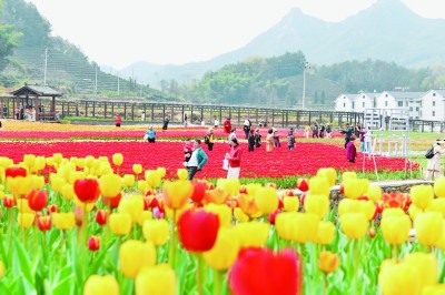 傳承弘揚“浦江經(jīng)驗” 推進基層治理現(xiàn)代化