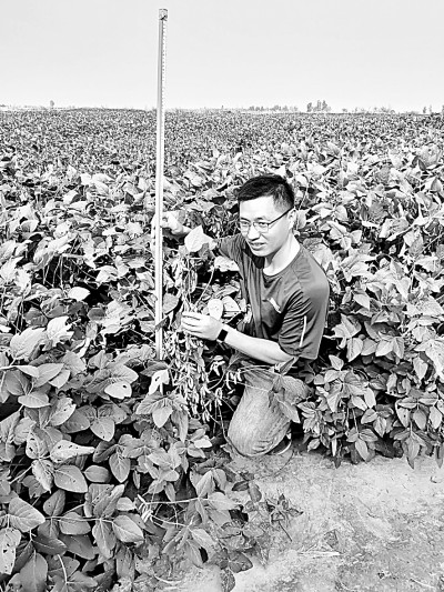 瞧，黄河口盐碱地上建起“新粮仓”