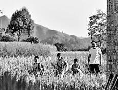 教育家精神：躬耕教坛的内在力量