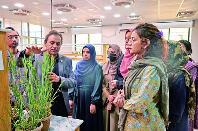 中巴农业科技合作助力高质量共建“一带一路”