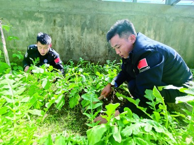 雪域边关，写下他们“最高的敬意”
