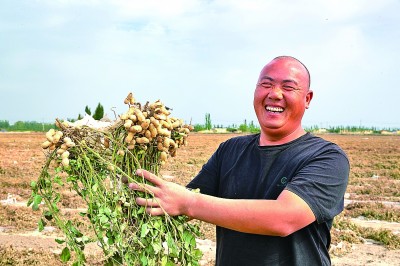 盐碱地变身“新粮仓” 盐碱地变身“新粮仓”