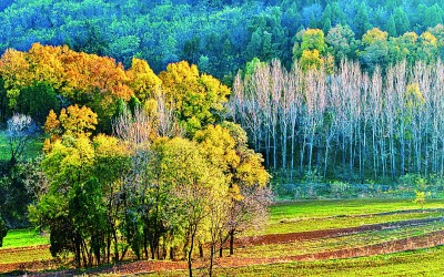 【大美中国】冬景如画