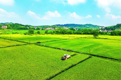 抗旱保收筑屏障