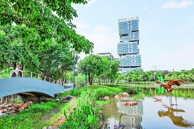 深圳国际低碳城——厚植低碳文化 畅想绿色未来