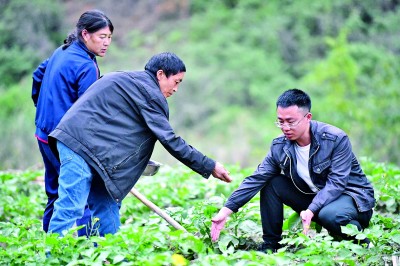 汶川“硕博团”