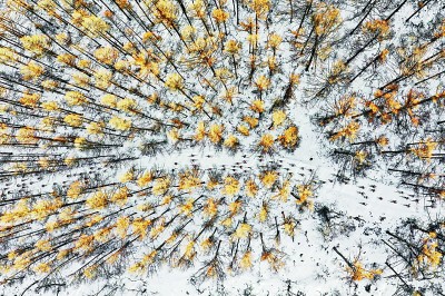 “中国瓦萨”国际滑雪节在长春举行