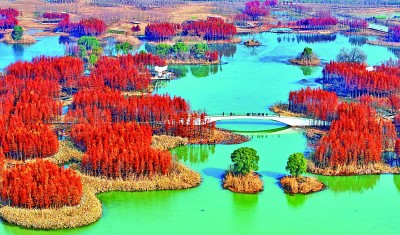 【大美中国】冬景如画