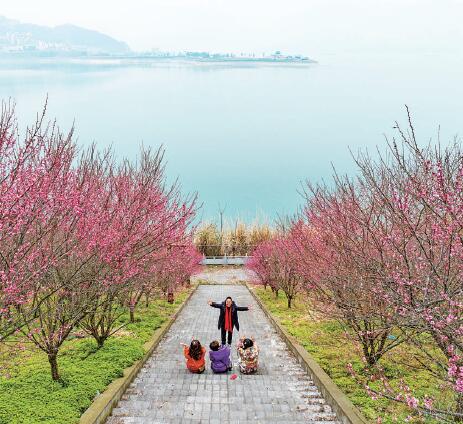 梅花绽放引客来