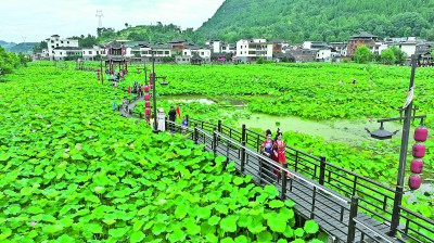 用好“千万工程”警戒 鼓吹乡村全面振兴