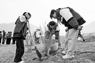3000株珍稀濒危植物回归三峡库区 3000株珍稀濒危植物回归三峡库区