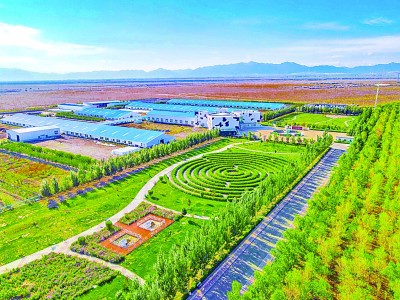 春拂天山满芬芳——新疆生产建设兵团推动农牧业绿色高效发展的探索及启示