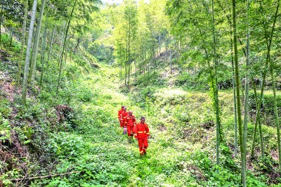 五位“最美生态护林员”分享如磐初心和光荣使命——为建设美丽中国增绿添彩