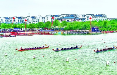 江苏泗洪：古运河赛龙舟
