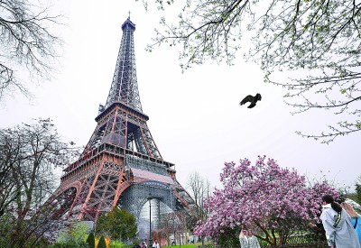 图片报道 图片报道