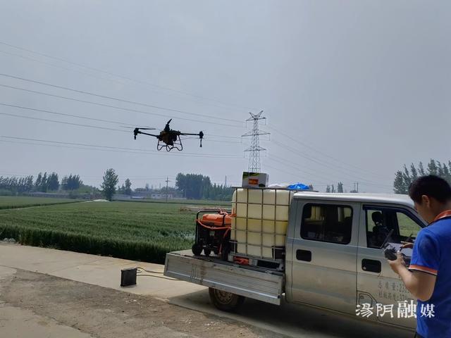 河南安阳汤阴：无人机飞防 为小麦披上“防护衣”
