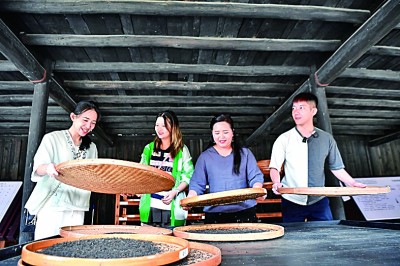 JN江南体育袅袅茶香飘两岸——海峡两岸媒体人走进湖南探寻茶乡(图1)