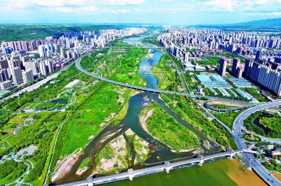 【大美中国】城市里的“森林”
