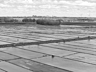 万亩水稻插秧忙