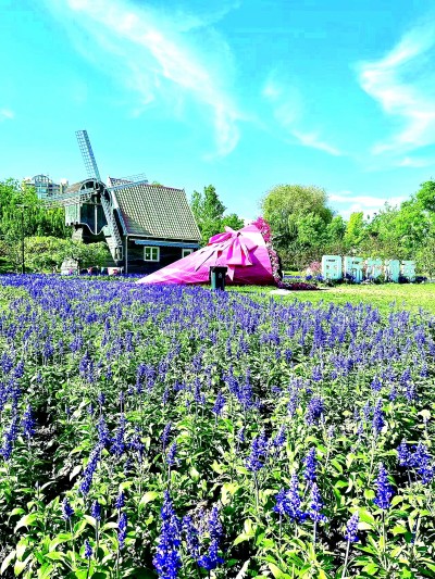 北京市丰台区玉泉营街道草桥村：花海铺就幸福路