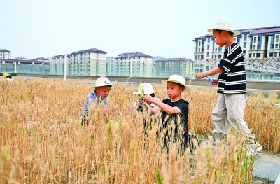 多措并举推动教育高质量发展