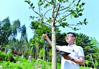 与时间竞速 助万物共生——走近保护生物多样性的青年人