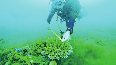 与时间竞速 助万物共生——走近保护生物多样性的青年人