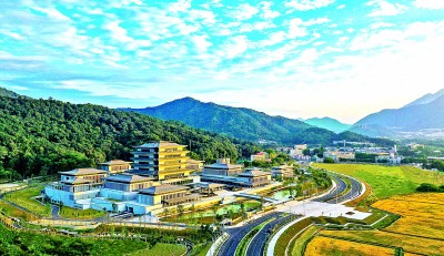 深刻把握巩固文化主体性的内在逻辑