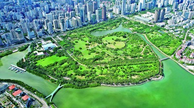 海口：湿地修复融入城市更新