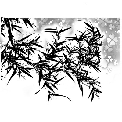 攀枝花的雅砻江 攀枝花的雅砻江